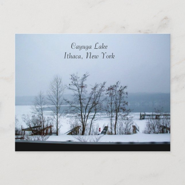Cartão Postal LAGO CAYUGA NA placa de posto WINTER (Frente)