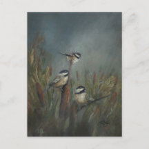 Lago Chickadee
