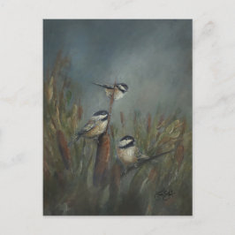 Cartão Postal Lago Chickadee