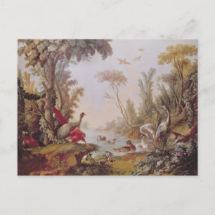 Cartão Postal Lago com gansos, cegos, papagaios e herões