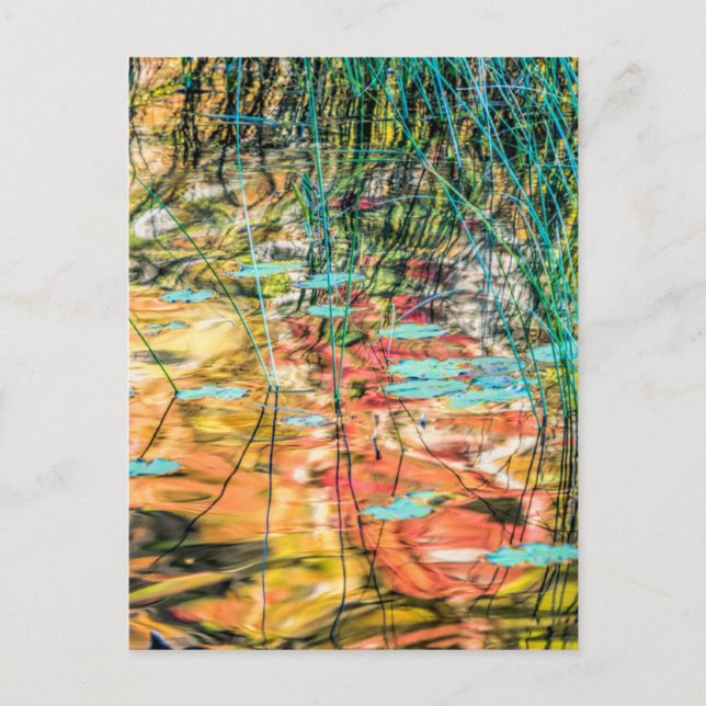 Cartão Postal Lago Council em Hiawatha National Forest, Michigan (Frente)