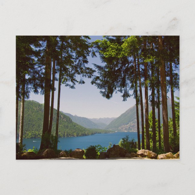 Cartão Postal Lago Cushman no Verão (Frente)