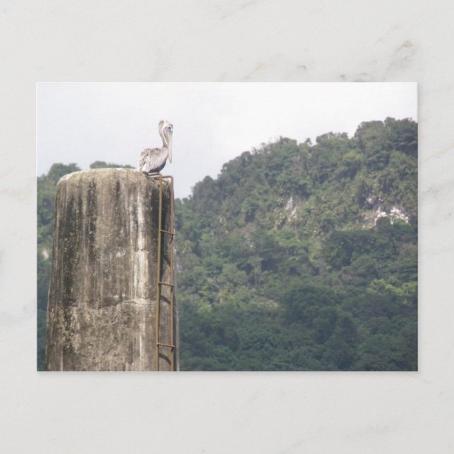 Cartão Postal Lago dos Bocas Utuado Porto Rico (Frente)