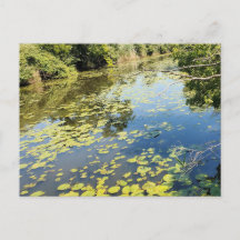 Lago Erie Metropark River View