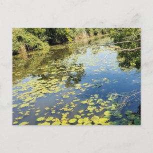 Cartão Postal Lago Erie Metropark River View