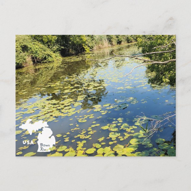 Cartão Postal Lago Erie Metropark River View com logotipo (Frente)