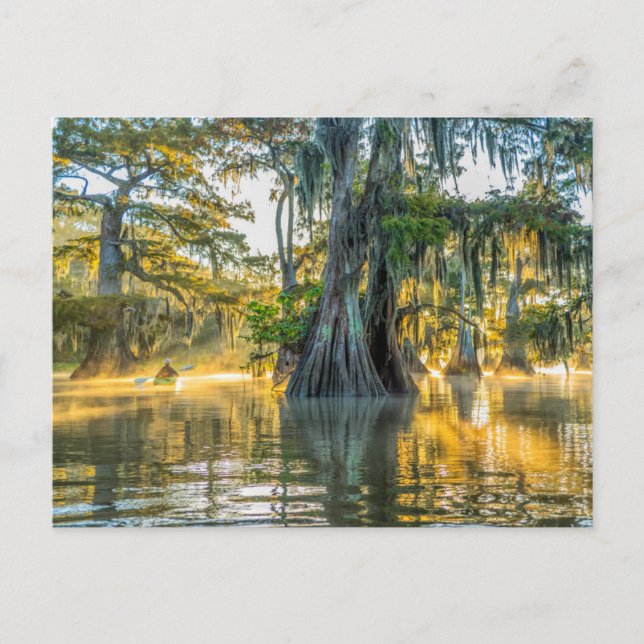 Cartão Postal Lago Fausse Pointe State Park (Frente)