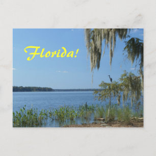 Cartão Postal Lago Florida
