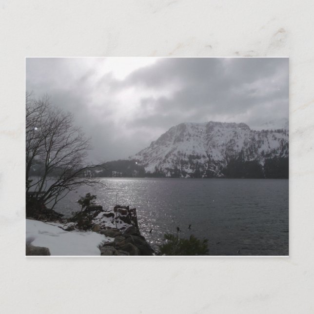 Cartão Postal Lago Leaf Fallen (Frente)