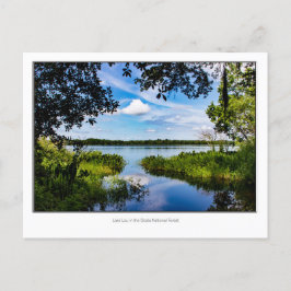 Cartão Postal Lago Lou