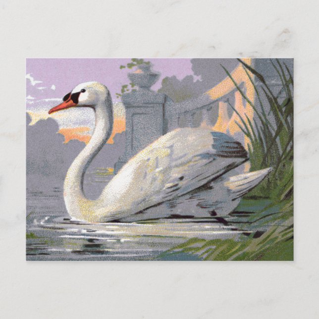 Cartão Postal Lago Lugano Swan (Frente)