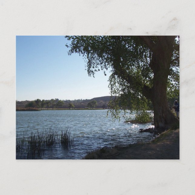 Cartão Postal Lago Mojave Narrows (Frente)