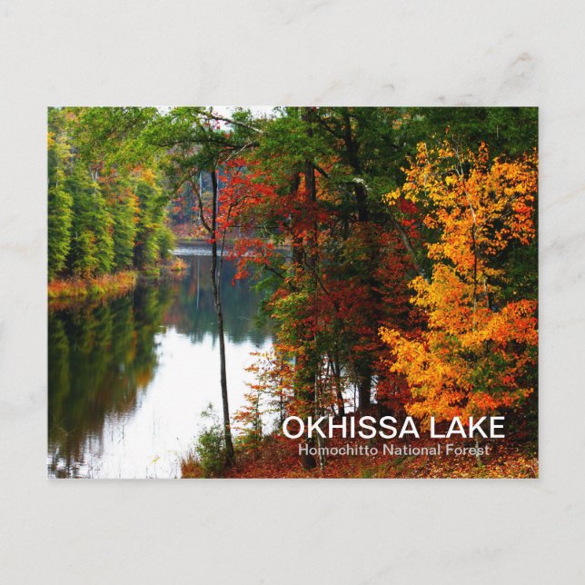 Cartão Postal Lago Okhissa - Floresta Nacional de Homochitto (Frente)