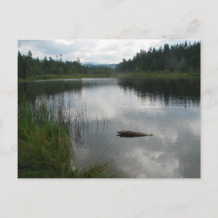 Cartão Postal Lago Padden Stillness