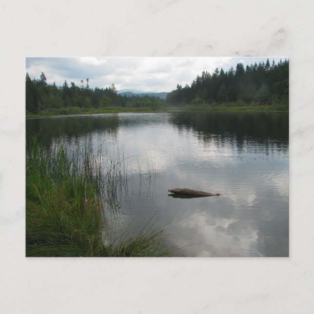 Cartão Postal Lago Padden Stillness (Frente)