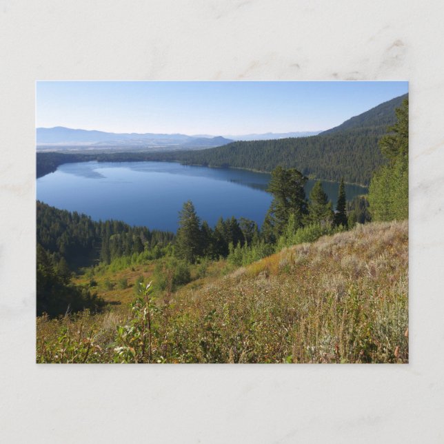 Cartão Postal Lago Phelps III no Parque Nacional Grand Teton (Frente)