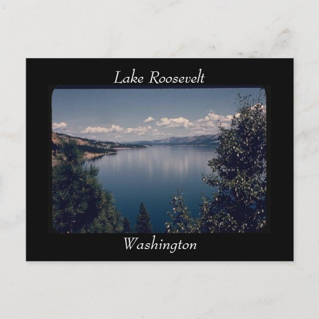 Cartão Postal Lago Roosevelt, Washington Postcard (Frente)