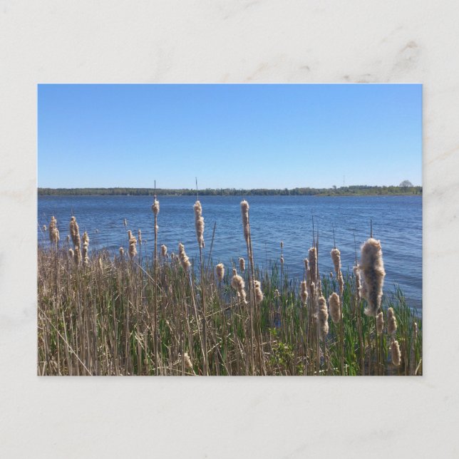 Cartão Postal Lago Simcoe (Frente)