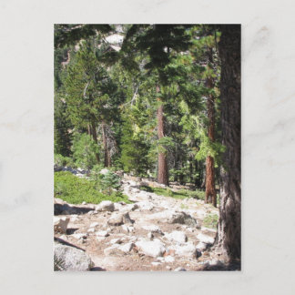 Cartão Postal Lago Tahoe