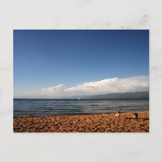 Cartão Postal Lago Tahoe (Frente)