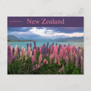 Cartão Postal Lago Tekapo Nova Zelândia