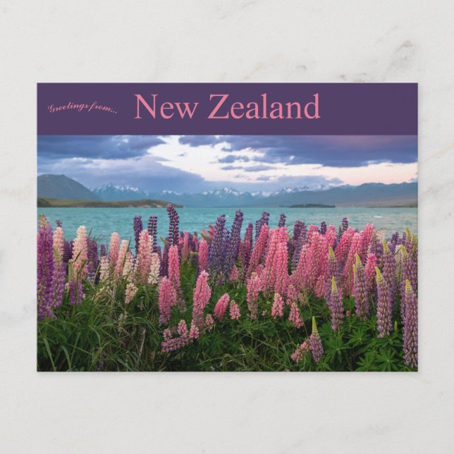 Cartão Postal Lago Tekapo Nova Zelândia (Frente)