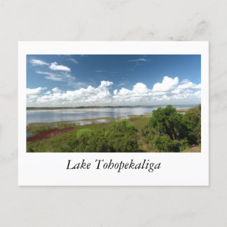 Cartão Postal Lago Tohopekaliga Flórida