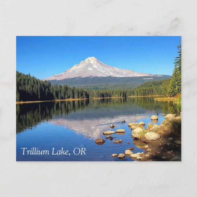 Cartão Postal Lago Trillium, OR (Frente)