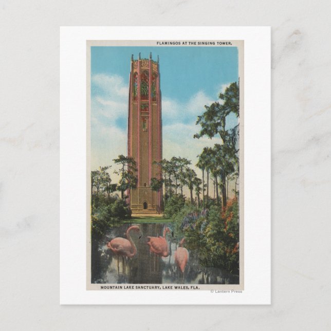 Cartão Postal Lago Wales, FL - Vista da Cantagem (Frente)