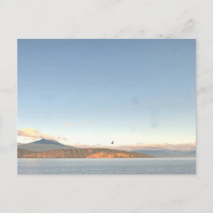 Cartão Postal Lago Washington Mountain Pacífico Noroeste