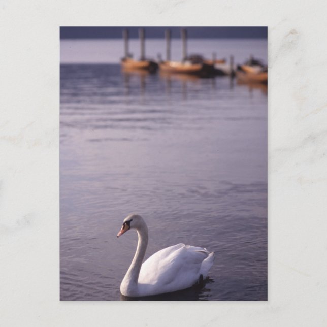 Cartão Postal Lago Windermere (Frente)