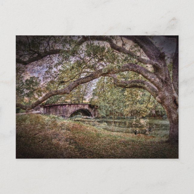 Cartão Postal Lagoa Audubon (Frente)