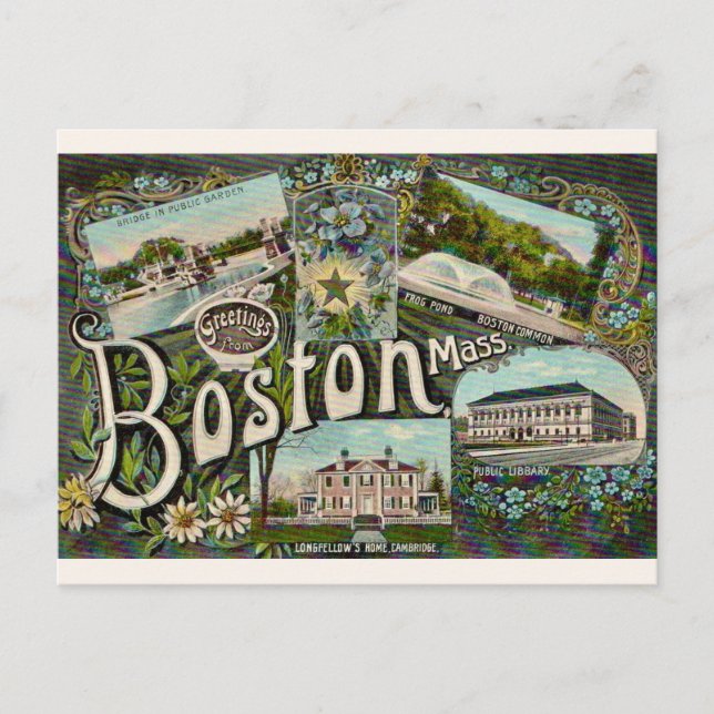 Cartão Postal Lagoa da Rã Vintage Boston  (Frente)