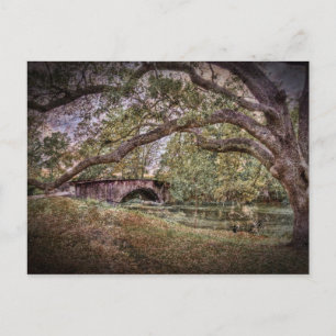 Cartão Postal Lagoa de Audubon