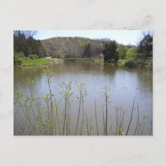 Cartão Postal Lagoa de Bernheim