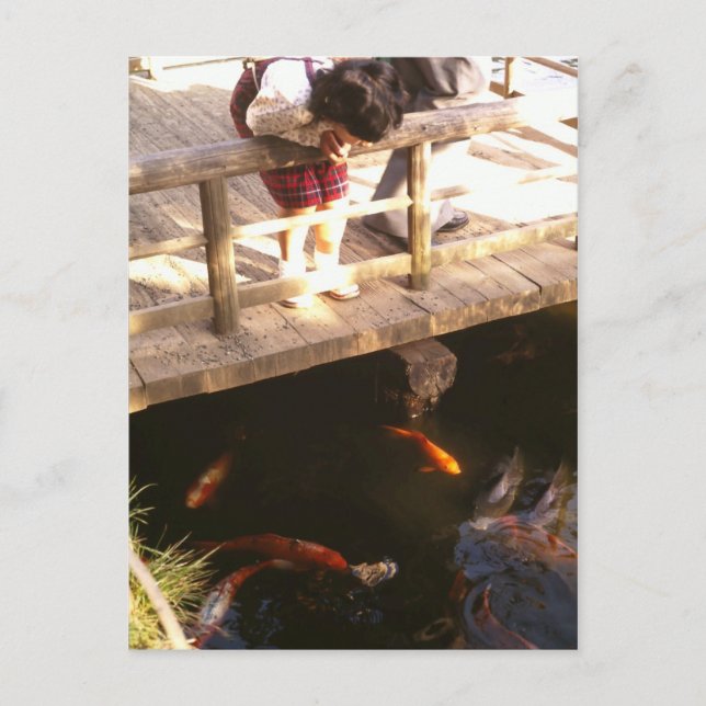 Cartão Postal Lagoa de carpa (Frente)