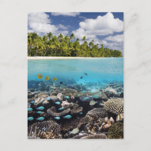Cartão Postal Lagoa Tropical South Ari Atoll
