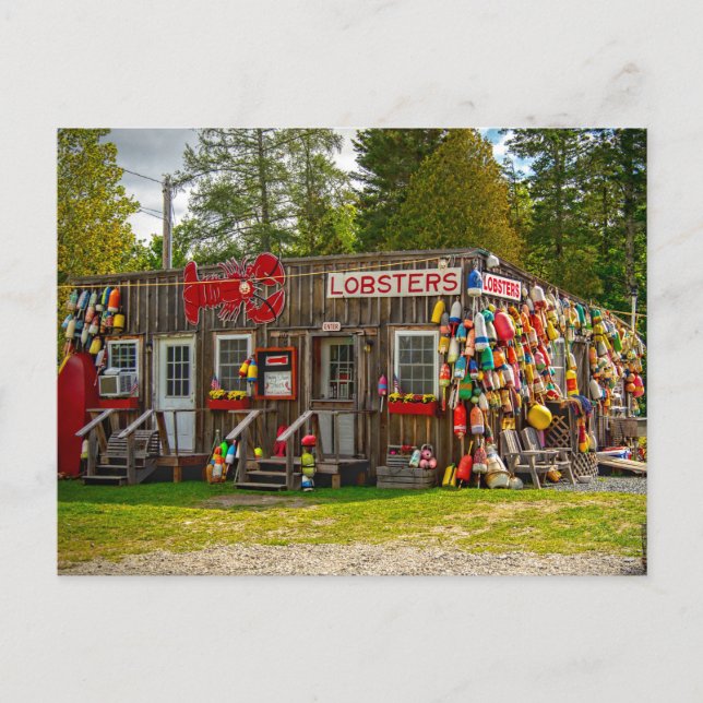 Cartão Postal Lagostas bares (Frente)