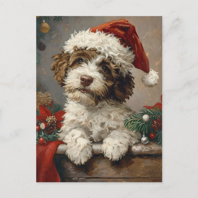 Cartão Postal Lagotto Romagnolo Natal (Frente)