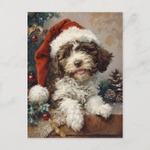 Cartão Postal Lagotto Romagnolo Natal