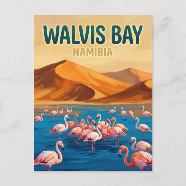 Cartão Postal Laguna da Baía dos Golfinhos Namíbia (Frente)