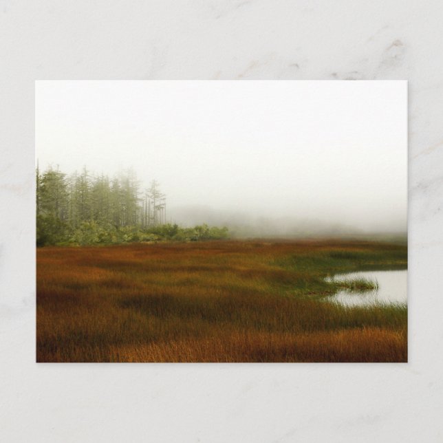 Cartão Postal Laguna de Humboldt (Frente)