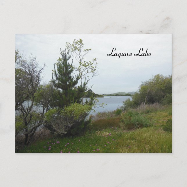 Cartão Postal Laguna Lake, San Luis Obispo, após a chuva (Frente)