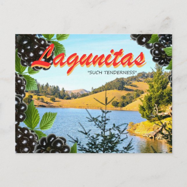 Cartão Postal Lagunitas, "Tanta Ternura" (Hass, tomada 2) (Frente)