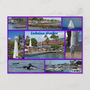 Cartão Postal Lahaina Harbor