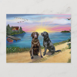 Cartão Postal Lake Road - Dois Labradores Retrievers (Choc-Blk)
