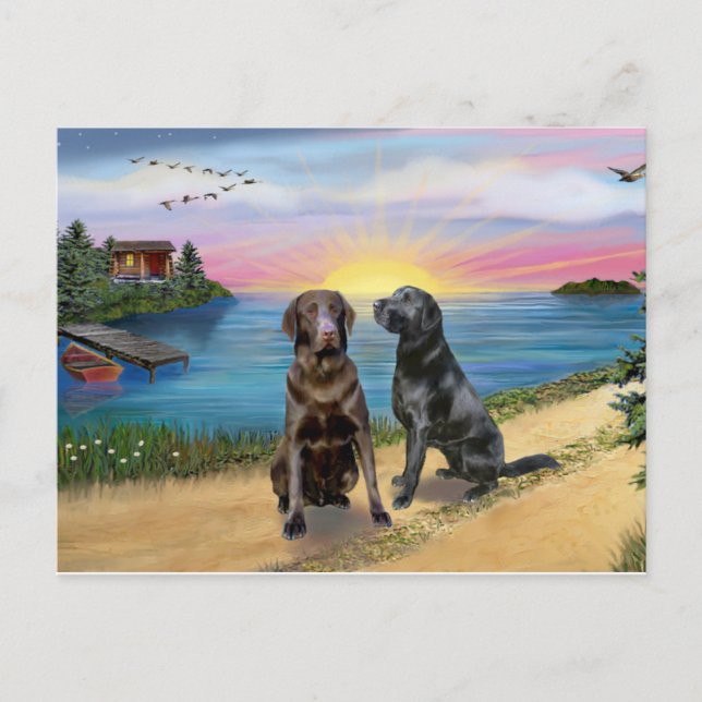 Cartão Postal Lake Road - Dois Labradores Retrievers (Choc-Blk) (Frente)