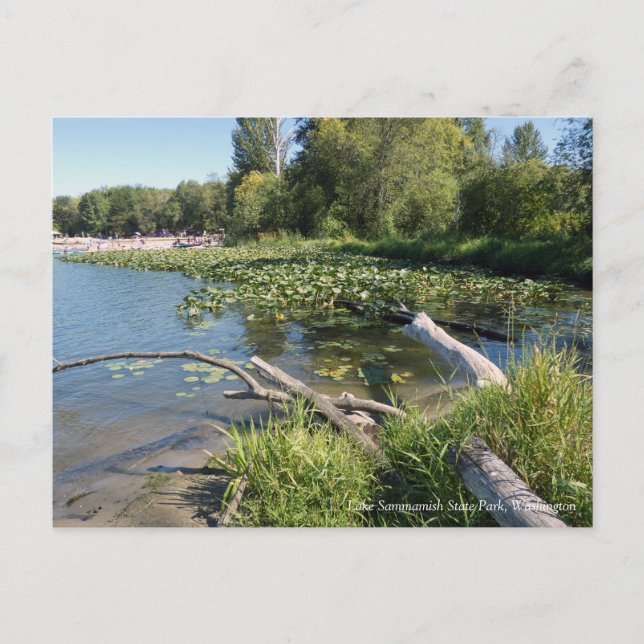 Cartão Postal Lake Sammamish State Park, Washington (Frente)