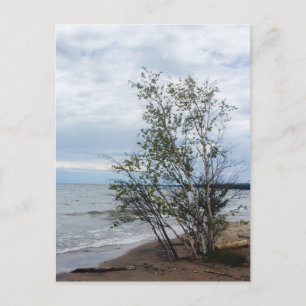 Cartão postal Lake Superior