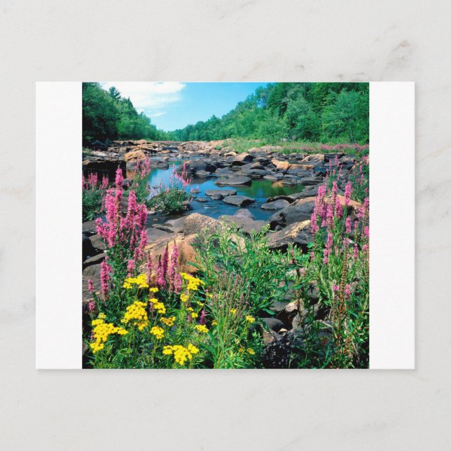 Cartão Postal Lake Wisconsin River Ice Age Reserve Wisconsin (Frente)